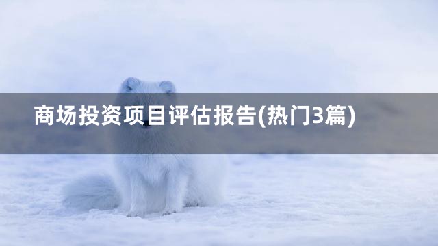 商场投资项目评估报告(热门3篇)