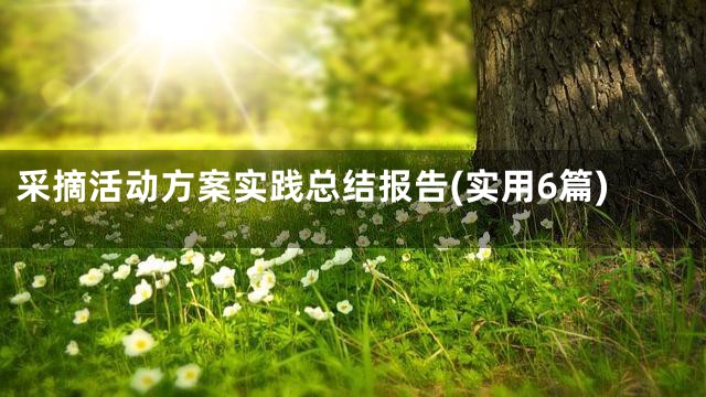 采摘活动方案实践总结报告(实用6篇)