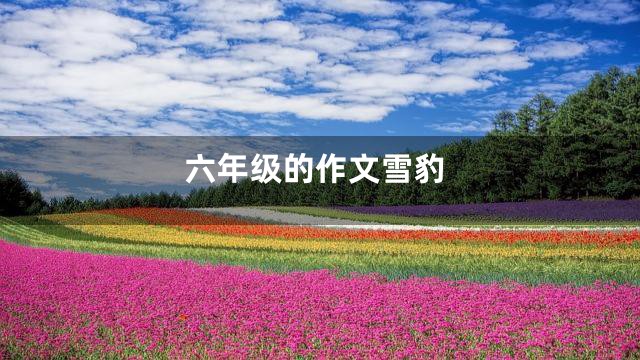 六年级的作文雪豹