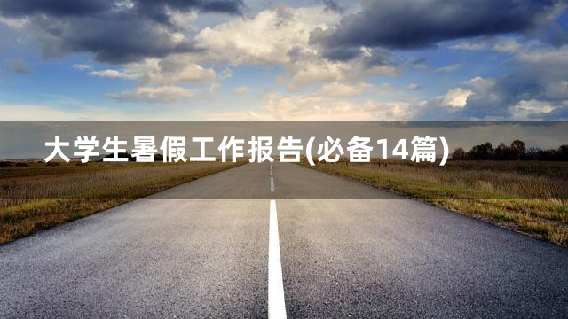大学生暑假工作报告(必备14篇)