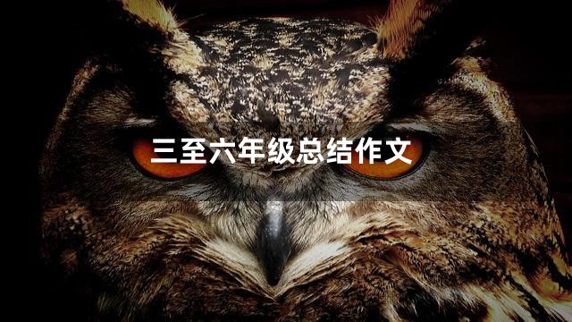 三至六年级总结作文