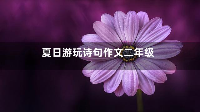 夏日游玩诗句作文二年级