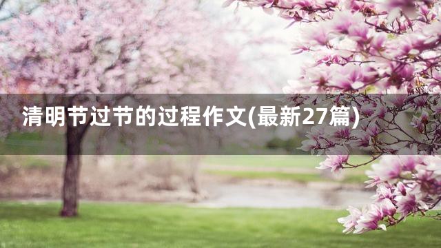 清明节过节的过程作文(最新27篇)