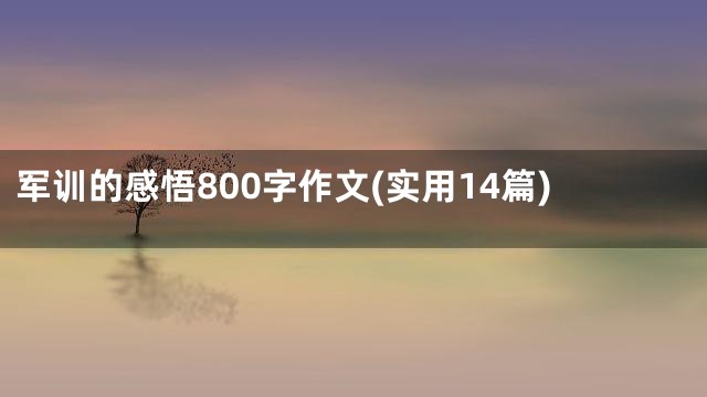 军训的感悟800字作文(实用14篇)