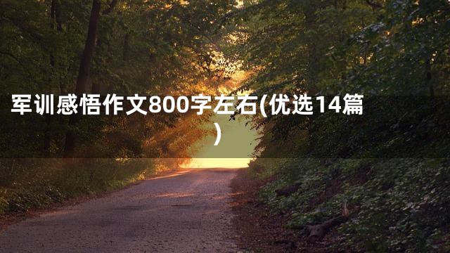军训感悟作文800字左右(优选14篇)