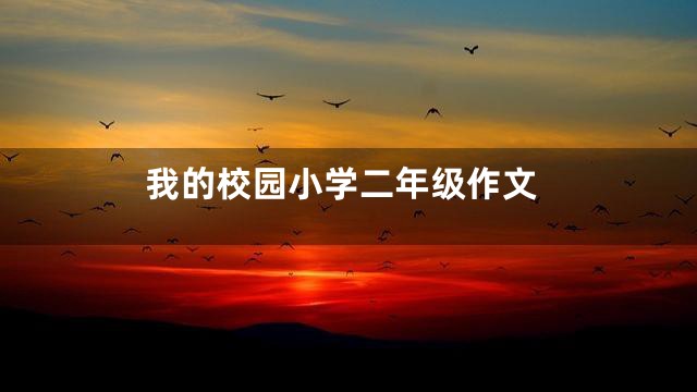 我的校园小学二年级作文