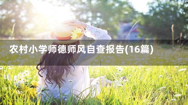 农村小学师德师风自查报告(16篇)