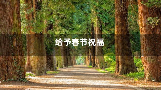 给予春节祝福