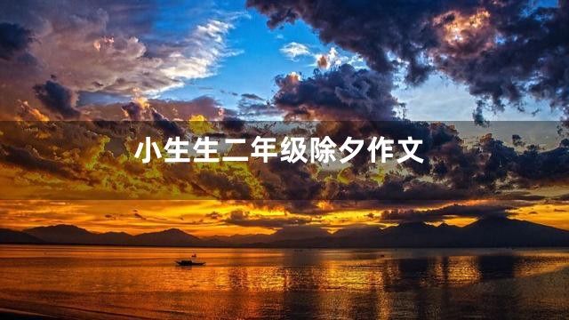 小生生二年级除夕作文