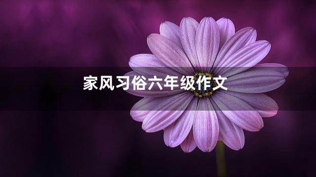 家风习俗六年级作文