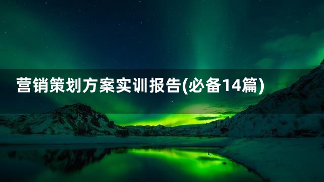 营销策划方案实训报告(必备14篇)