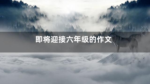 即将迎接六年级的作文