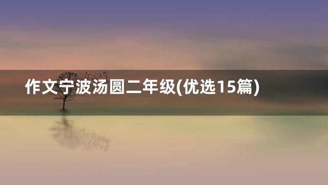 作文宁波汤圆二年级(优选15篇)