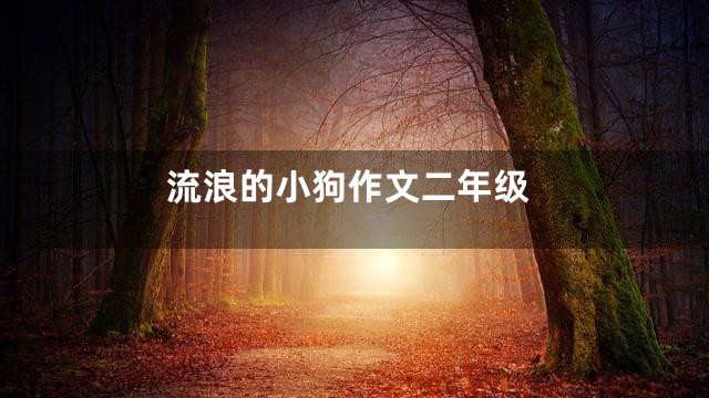 流浪的小狗作文二年级