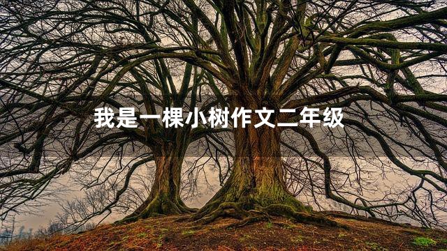 我是一棵小树作文二年级