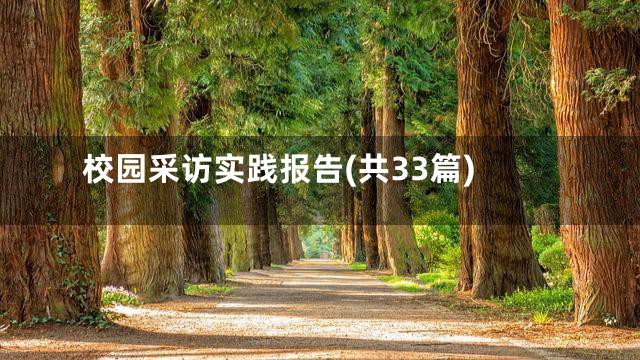 校园采访实践报告(共33篇)