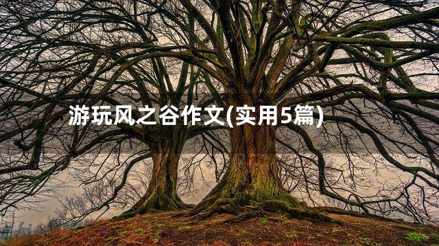 游玩风之谷作文(实用5篇)