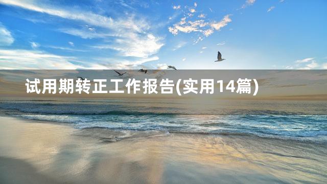 试用期转正工作报告(实用14篇)