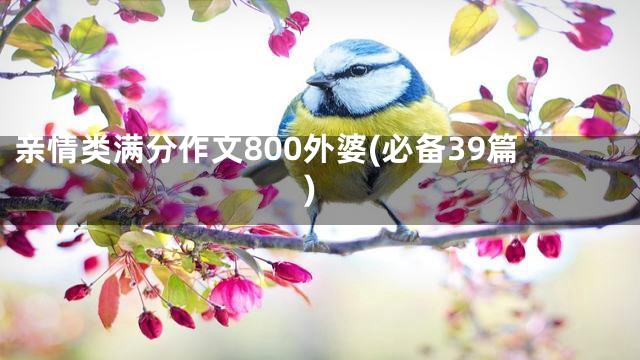 亲情类满分作文800外婆(必备39篇)