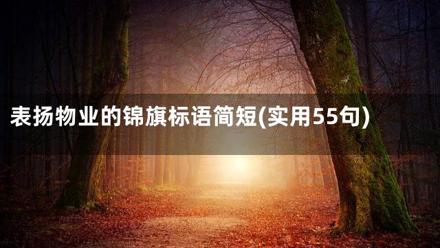 表扬物业的锦旗标语简短(实用55句)