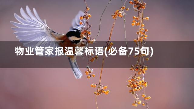 物业管家报温馨标语(必备75句)