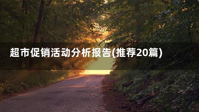 超市促销活动分析报告(推荐20篇)