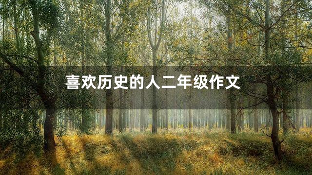 喜欢历史的人二年级作文