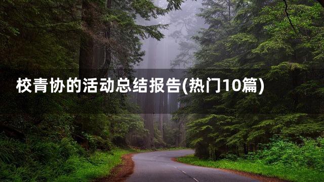校青协的活动总结报告(热门10篇)