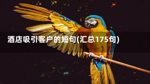 酒店吸引客户的短句(汇总175句)