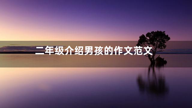 二年级介绍男孩的作文范文