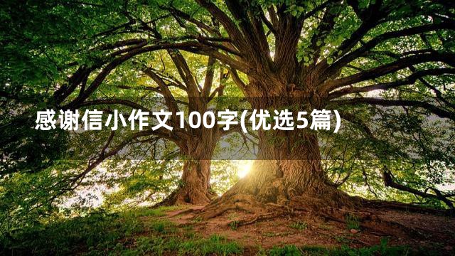 感谢信小作文100字(优选5篇)