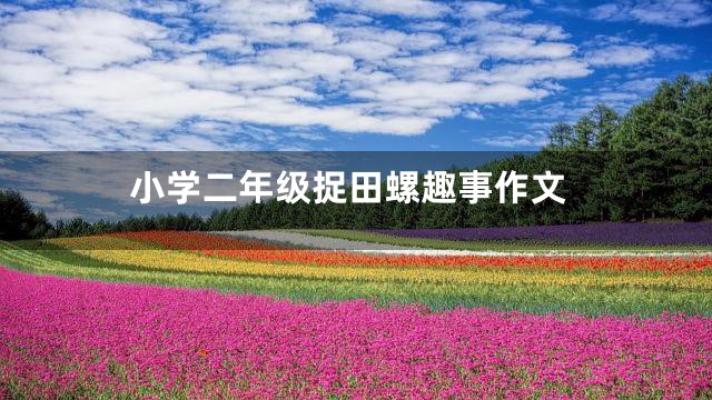 小学二年级捉田螺趣事作文