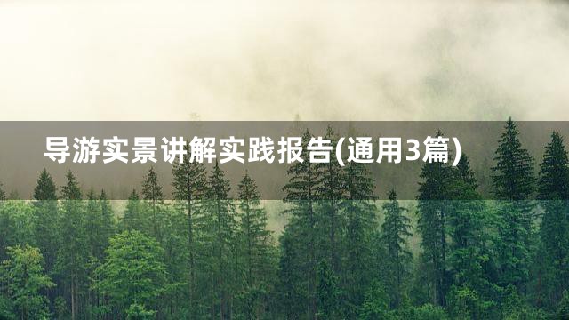 导游实景讲解实践报告(通用3篇)