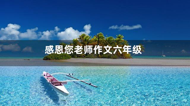 感恩您老师作文六年级