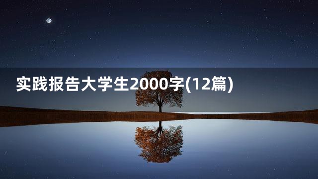 实践报告大学生2000字(12篇)