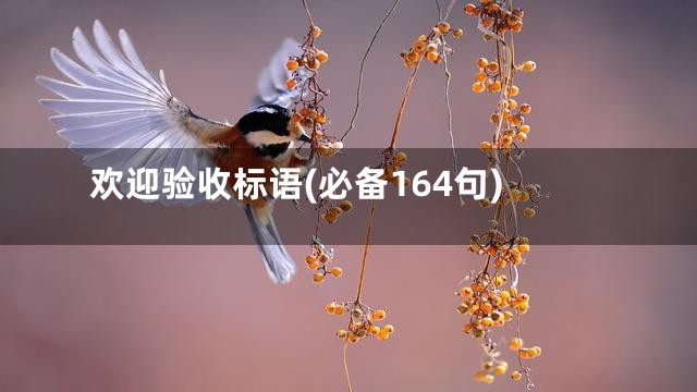 欢迎验收标语(必备164句)