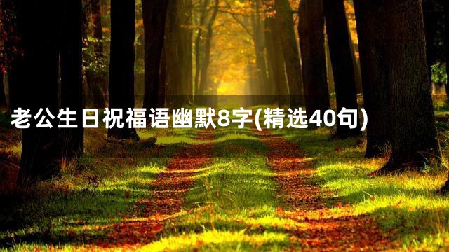 老公生日祝福语幽默8字(精选40句)