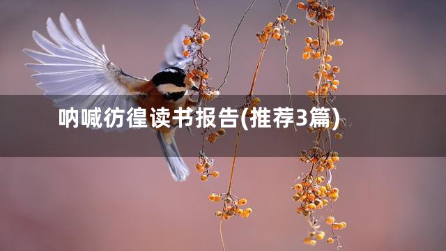 呐喊彷徨读书报告(推荐3篇)