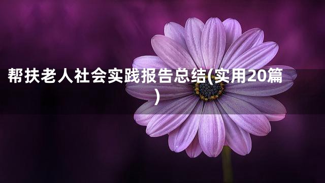 帮扶老人社会实践报告总结(实用20篇)