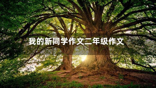 我的新同学作文二年级作文