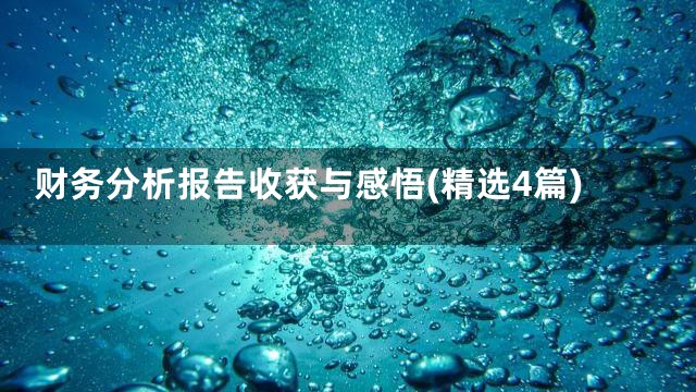财务分析报告收获与感悟(精选4篇)