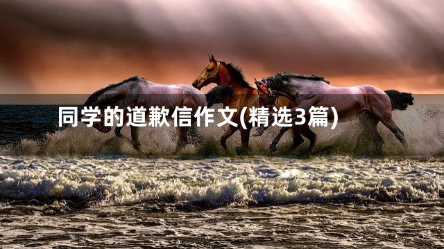 同学的道歉信作文(精选3篇)