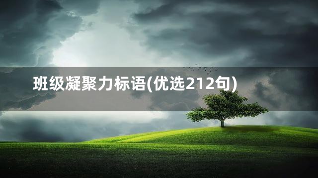 班级凝聚力标语(优选212句)