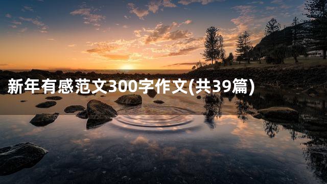 新年有感范文300字作文(共39篇)