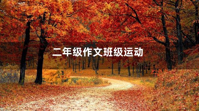 二年级作文班级运动