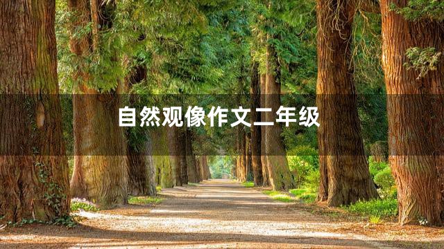 自然观像作文二年级