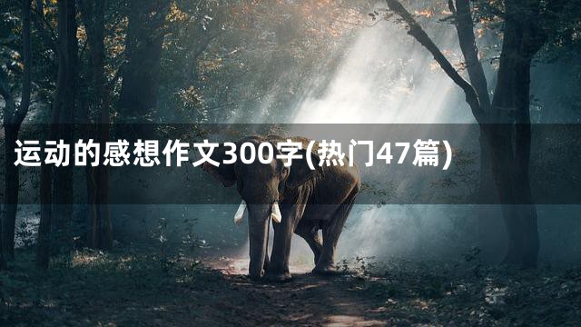 运动的感想作文300字(热门47篇)