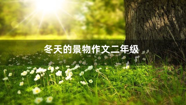 冬天的景物作文二年级