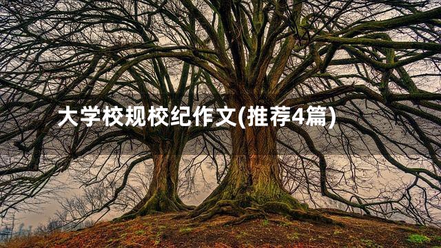 大学校规校纪作文(推荐4篇)