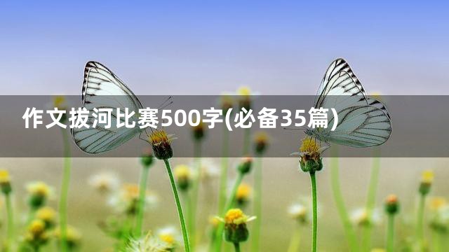 作文拔河比赛500字(必备35篇)
